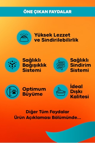 Tavuklu Yavru Kedi Maması - Büyüme 2 Kg