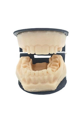 Barışhan Medikal Silikon Çene Diş Dikiş Modeli Ortodontik Alt Üst Çene Periodontal Sütür Eğitim Modeli-1
