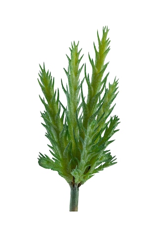 Yapay İğne Yapraklı Kaktüs Sukulent Dalı Açık Yeşil 16 Cm-10926