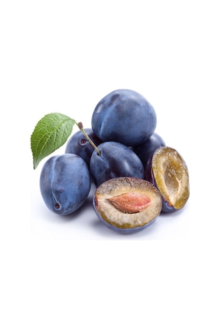 Mürdüm Eriği Fidanı - Tüplü ve Aşılı