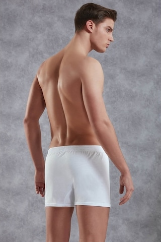 Doreanse Erkek Pamuk Battal Boy Düğmeli Normal Paça Boxer 1511P