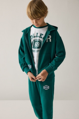 Defacto Pamuklu Regular Fıt Uzun Kollu Baskılı Kapüşonlu Cepli Fermuarlı Sweatshirt Hırka Erkek Çocuk H9848a826augn1116 Yeşil-gn1116
