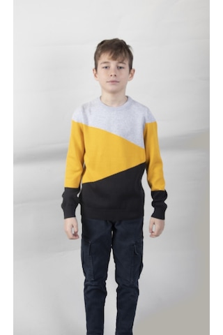 Alexandergardı Desenli Çocuk Triko Kazak C22-18937 10 001