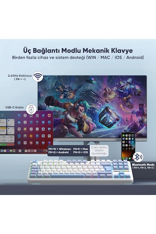Aula F87 Pro Mekanik Rgb Tkl Graywood V4 Switch Kablosuz Makrolu Hot Swap Türkçe Q Klavye Buz Mavisi