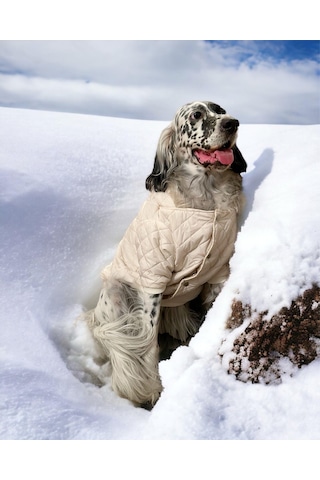 Kemique Cream Comfly Köpek Montu Orta Büyük Irklar İçin