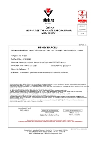 Bahçe Piladar Olgun Hasat Natürel Sızma Zeytinyağı 3 Lt Teneke 2025-2026 Hasat