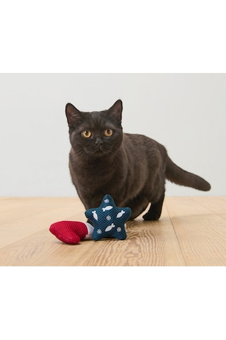 Kedi Oyuncağı, 2'li Set
