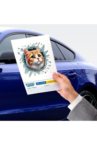 Mey Najmaddin Fulcar Sarman Araç Stickerı Najmaddin