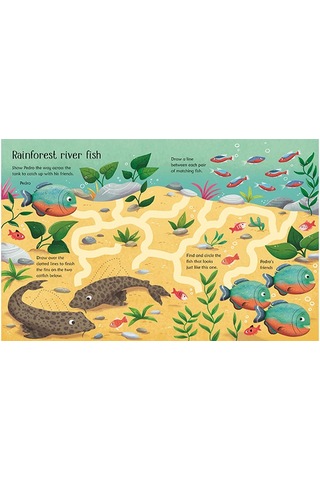Wipe Clean Aquarium Activities Usborne