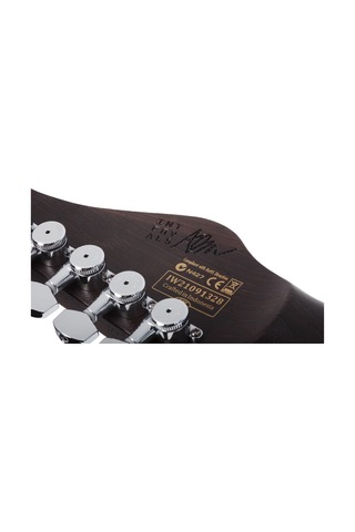 Schecter Aaron Marshall Am-6 Trem Elektro Gitar Arctic Jade