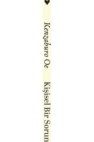 Kişisel Bir Sorun - Kenzaburo Oe - Can Yayınları