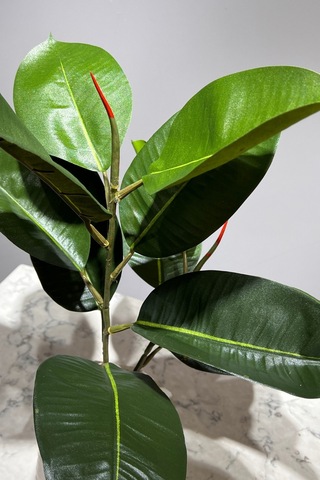 Mermer Geometrik Saksıda 2 Dal Yapay Ficus Elasticos Kauçuk Ağacı Çiçeği 75 Cm Karışık