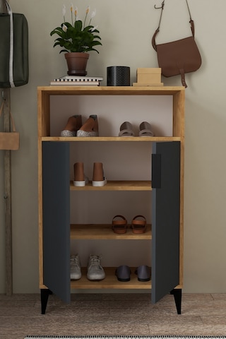 1204 Ada Ayakkabılık 4 Raflı 2 Kapaklı Çok Amaçlı Dolap Antrasit Safir Antrasit Safir