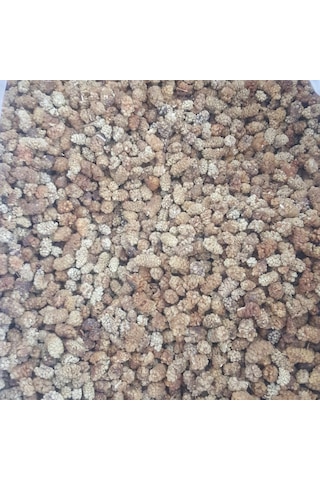 Toptan Yerli Dut Kurusu Ekonomik 12kg Diğer