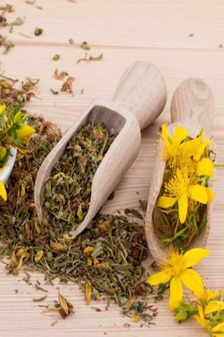 Organik Bitkim Sarı Kantaron Çiçeği 1 KG