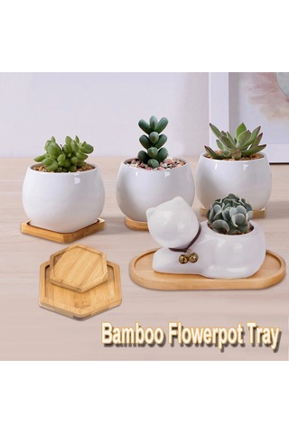 Round-9cm-pot Stander Ev Dekorasyon Succulents Bonsai Tutucu Yuvarlak Kare Altıgen Dikdörtgen Saksı Tabanı Bambu Ahşap Tepsi