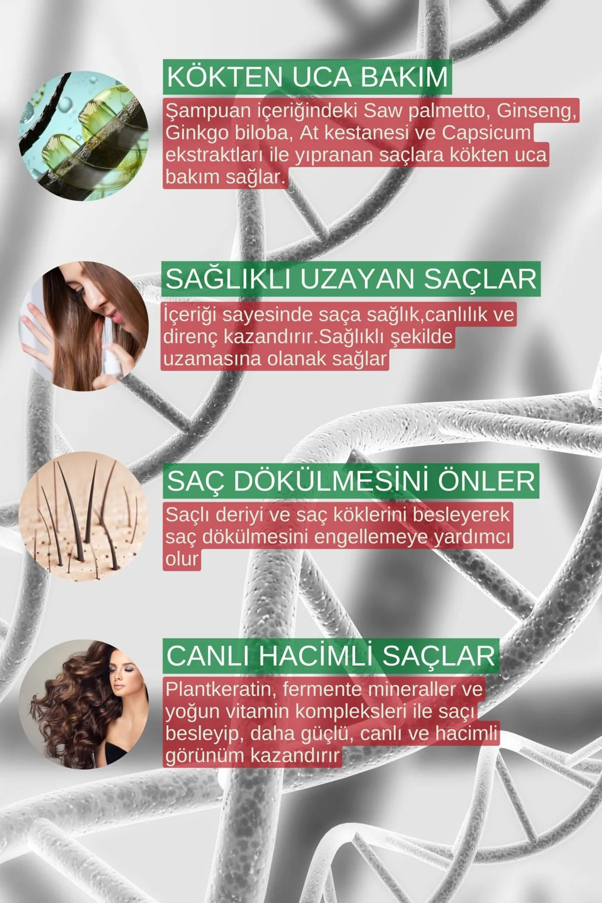 Zigavus Forte Ultra Clinical Kuru Saçlar Için Şampuan 220 X 2ml Kuru - Normal