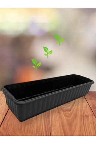 Prohoz Fide Ve Çiçekler İçin Tepsi 207490338