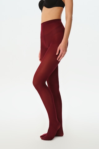 Suwen Daily Opak 50 Külotlu Çorap Sc3029102 Bordo