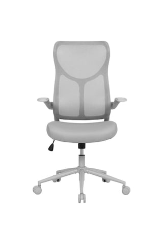 Techno Rest X Ergonomik File Sırtlı Ofis Çalışma Koltuğu Gri Gri