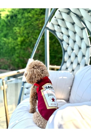 Köpek Atlet Barbeque Souce Yeni