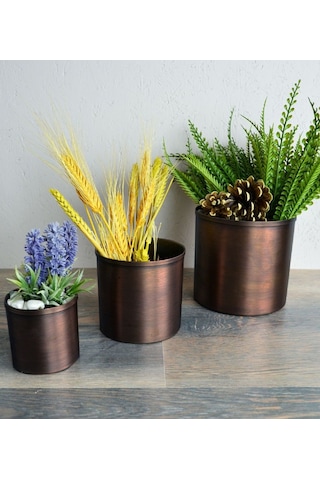 Shark Anatolia Bahar Saksı 3'lü Takım