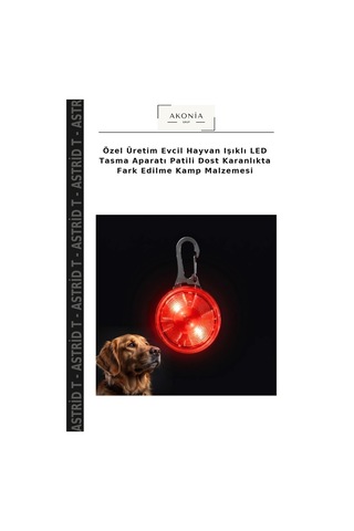 Özel Üretim Evcil Hayvan Işıklı Led Tasma Aparatı Patili Dost Karanlıkta Fark Edilme Kamp Malzemesi Çok Renkli