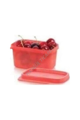 Tupperware Renkli Dörtgen Saklama Kabı 160 Ml Çok Amaçlı Saklama Turuncu