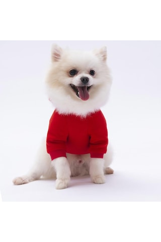 Pettrend Kırmızı Kanguru Cepli Kedi Köpek Hoodie Sweatshirt