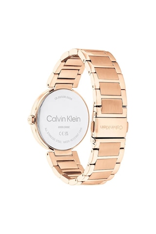 CALVİN KLEİN BAYAN KOL SAATİ CK25200253