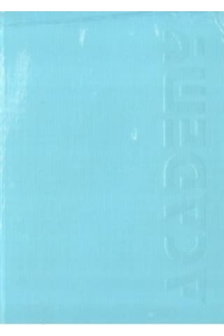 Defter 400 Yaprak Ciltli 20x28 Sert Kapak Çizgisiz Özkan Metalik Turkuaz