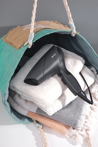 Briz BR120 Saç Kurutma Makinesi