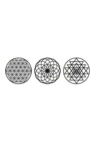 Yaşam Çiçeği Sri Yantra Torus Nefesi Üçlü Tablo