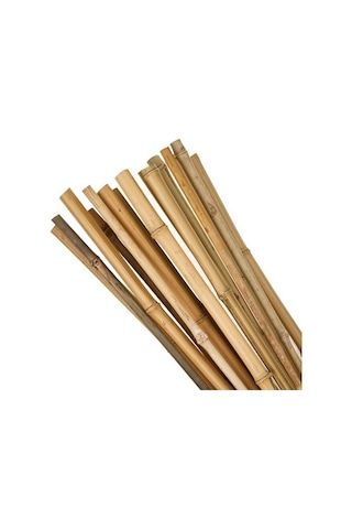 Bambu Çubuk Bitki Destek Çubuğu 50'Li 8 Mm x 120 Cm