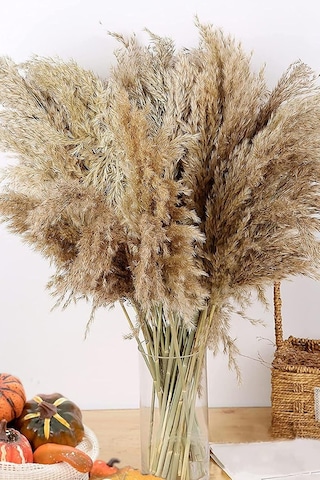 Alyones 10 Adet Kurutulmuş Pampas Otu, 100 Cm Boyunda Pampas Otu Görkemli Otu Kabarık Pampas Otu Diğer