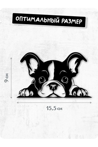 Stadi Dikkat Eden Köpek Etiketi 200702513 Siyah