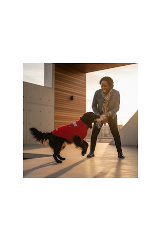 Kedi Ve Köpek İçin Cool Sports Girl Kırmızı Kazak
