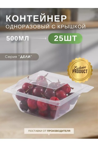 Kastan Kullanımlik Kapaklı Kaplar 500 Ml 25 Adet 252143226 100 adet