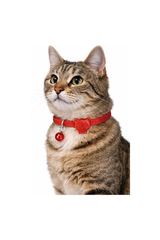Urban Paws Kedi Tasması Crimson Red Ayarlanabilir, Dayanıklı, Hafif-10mm