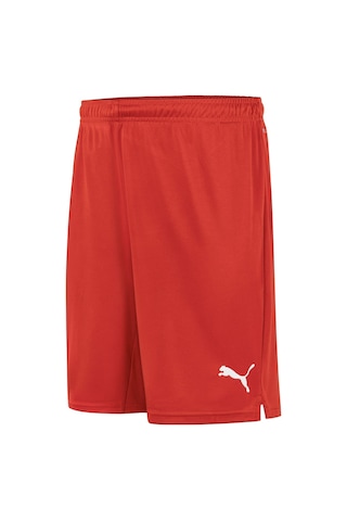 Puma Türkiye Voleybol Milli Takım Erkek Maç Şort 773517 01