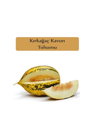 Kırkağaç Kavun Tohumu 1 Paket Kırk Ağaç Kavun Tohumu Kapalı Paket Yüksek Verimli Tohum Sarı Kavun