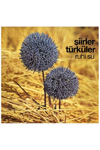 Ruhi Su - Şiirler Türküler Plak