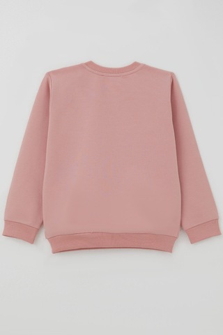 Breeze Kız Çocuk Sweatshirt Dostluk Temalı Sevimli Hayvancıklar Baskılı 1.5-5 Yaş , Gülkurusu