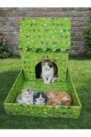 Kedi Evi Karton Baskılı Ve Bahçeli Genişlik 35cm Uzunluk 48cm Derinlik 58cm