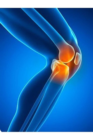 Cilton Çinar Yapraği Kremi Plane Leaf Cream 150 Ml