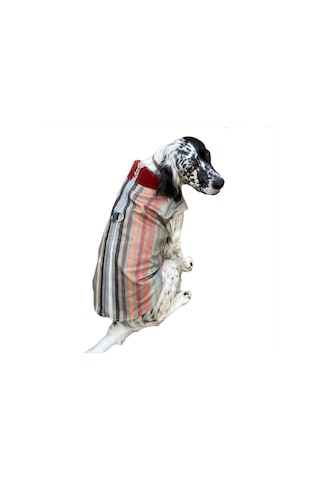 Kemique Stripe Orta ve Büyük Irklar için Köpek Ceketi