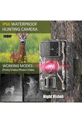 Pazly Hassas Pır Sensörlü, 16mp Fotoğraf & 1080p Video, Su Geçirmez Gece Görüşlü Kamera, Çok Renkli Çok Renkli