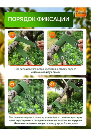 Yoltash Meyve Ağaçları İçin Dal Destekleyici 473581037