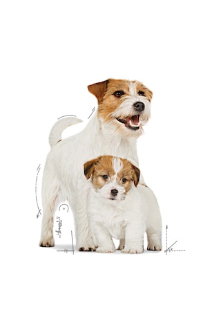 Royal Canin Starter Mousse Mother & Baby Dog Konserve Yavru Köpek Maması 195 G