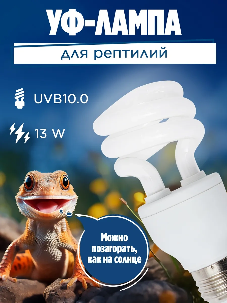 Jasmilar Sürüngenler İçin Uv Lamba Teraryum 173292826